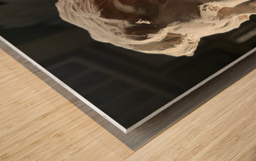 20220803 190523 Wood print