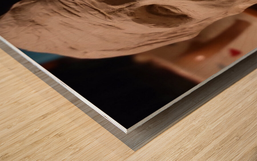 20220717 044636 Wood print