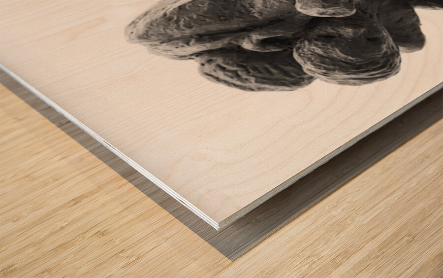 PSX 20241207 113142 Wood print