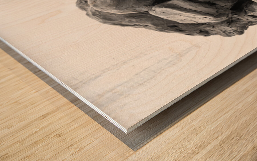 PSX 20241212 180155 Wood print