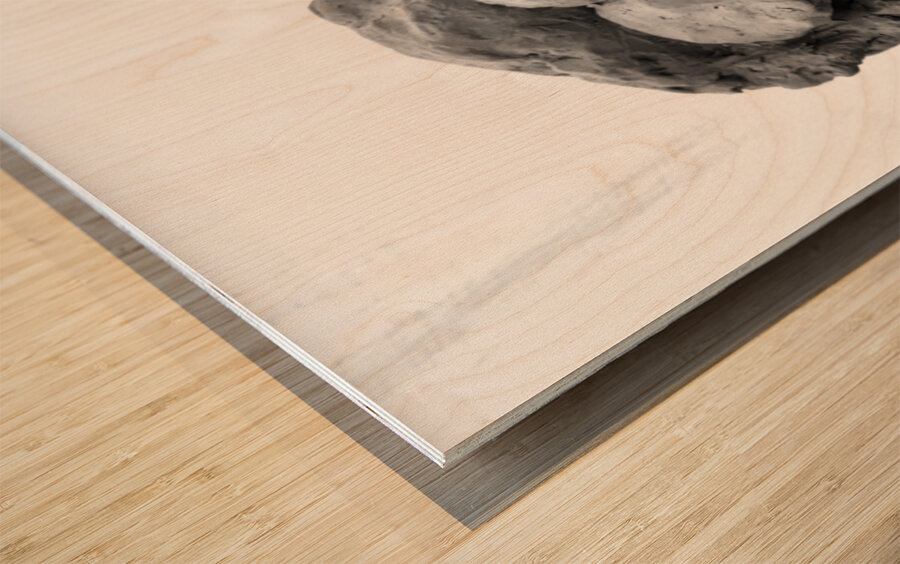 PSX 20241212 173545 Wood print