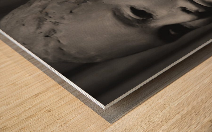 Screenshot 20220512 093315 Gallery 2 EDIT Wood print