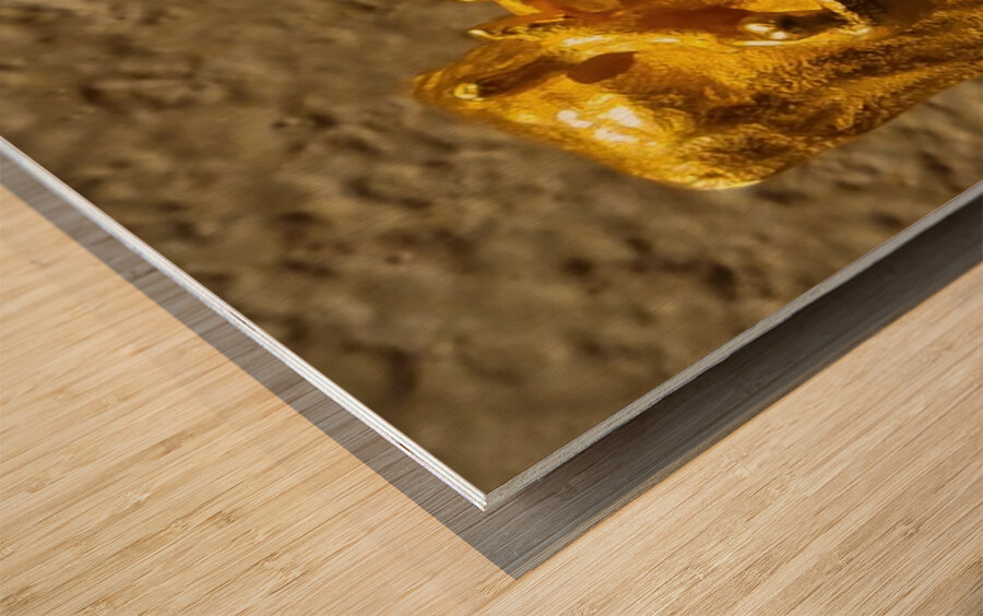 20240203 221318 Wood print