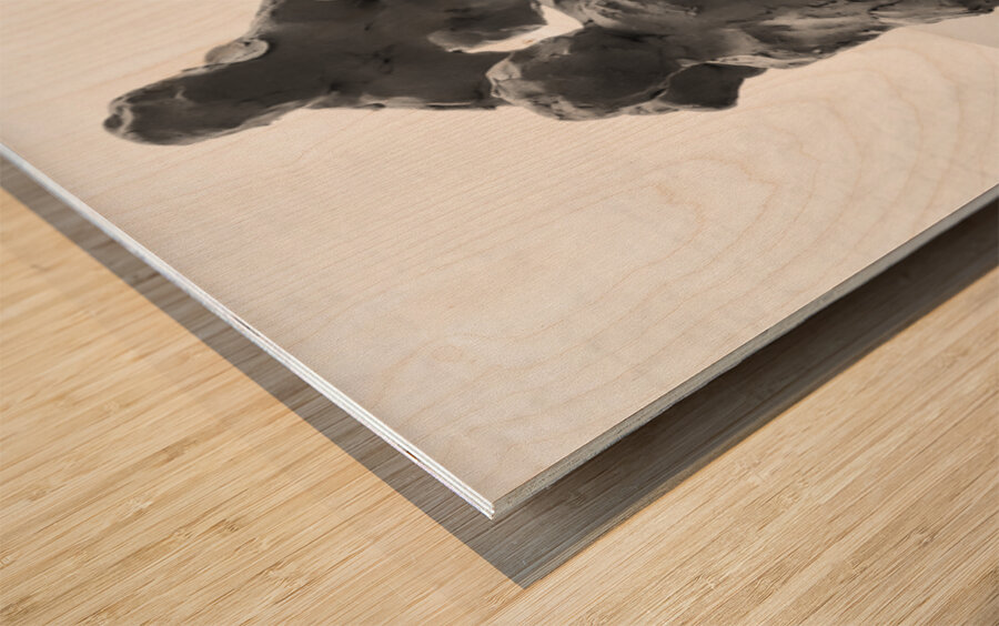 PSX 20250626 173128 Wood print