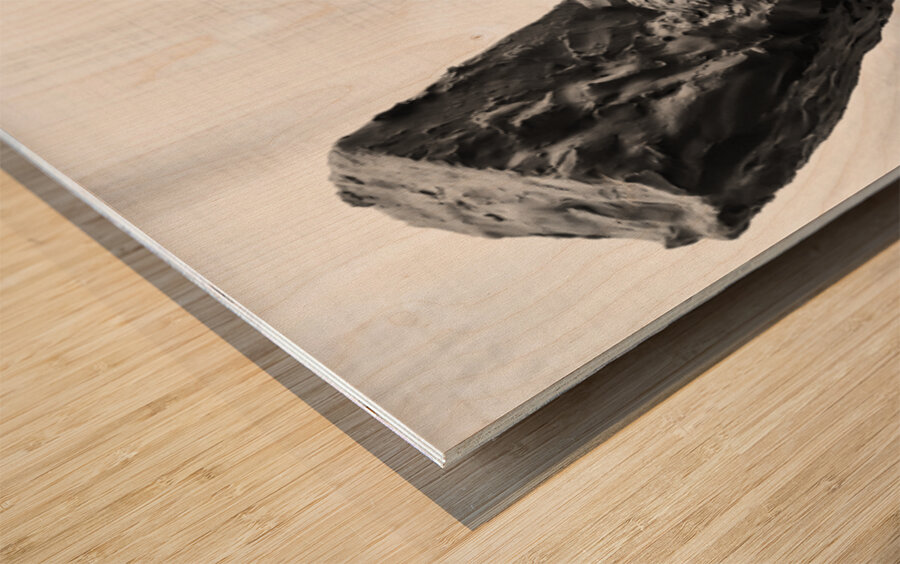 PSX 20250624 224241 Wood print