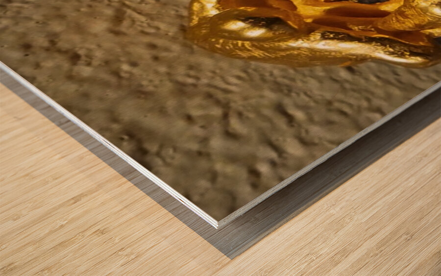 20240203 221442 Wood print