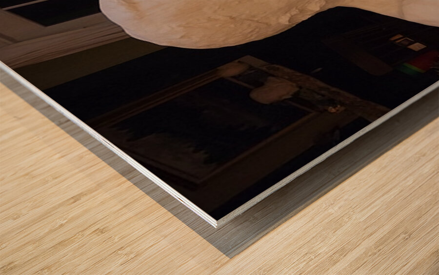 20231206 235031 Wood print