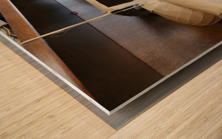 IMG 20220512 033846 373 Wood print