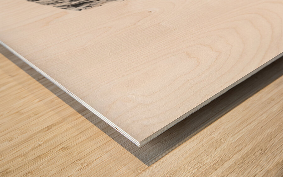 PSX 20250624 224434 Wood print