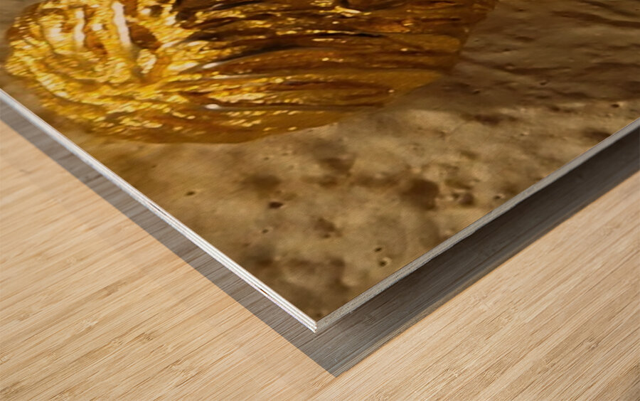 20240203 221622 Wood print