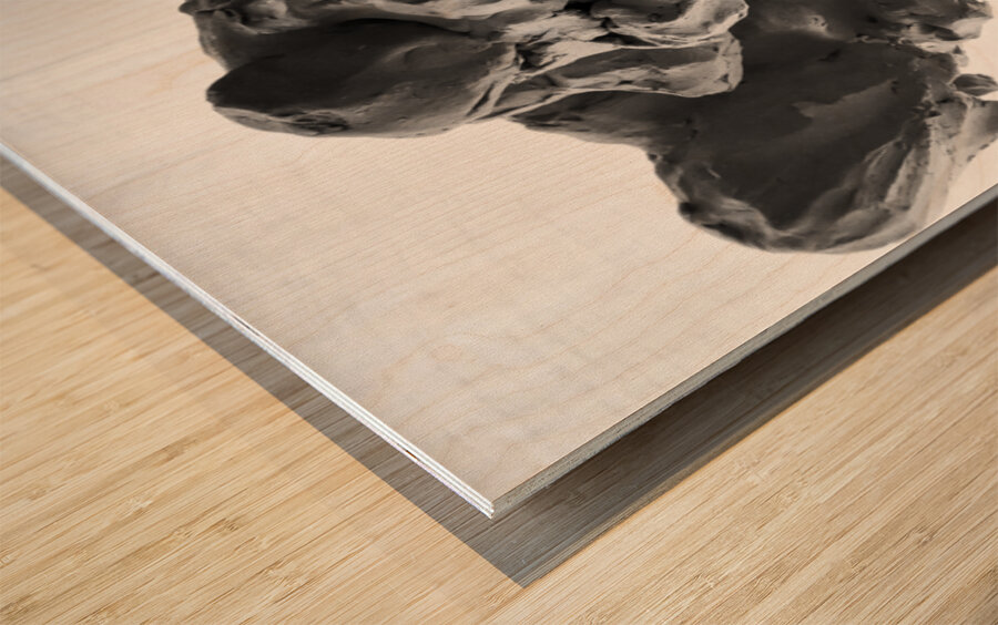 PSX 20250620 163203 Wood print