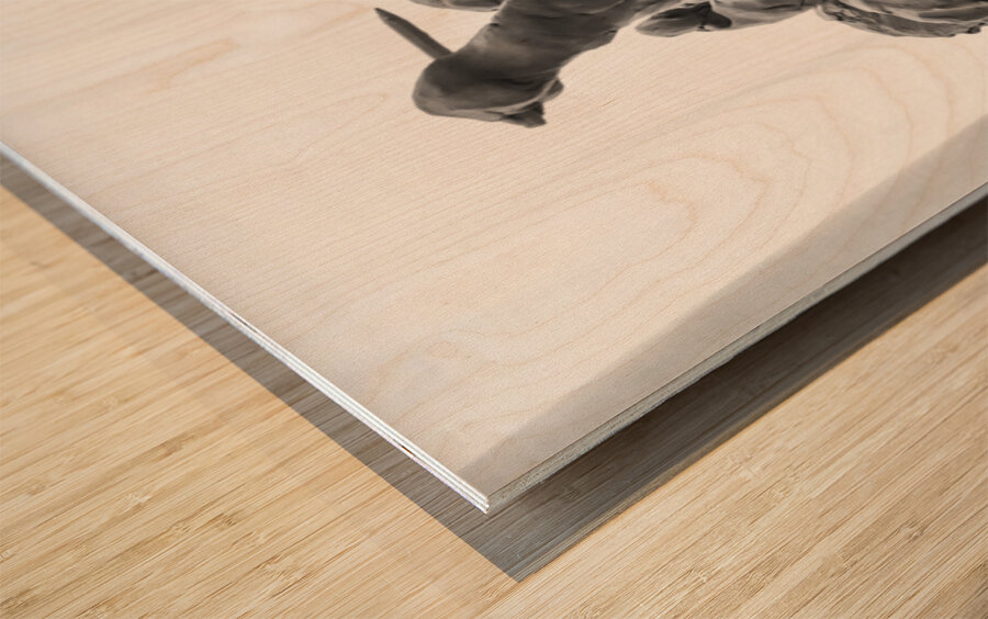 PSX 20250710 183741 Wood print