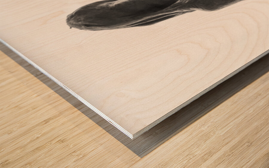 PSX 20250330 143032 Wood print