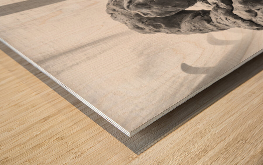 PSX 20250621 082755 Wood print