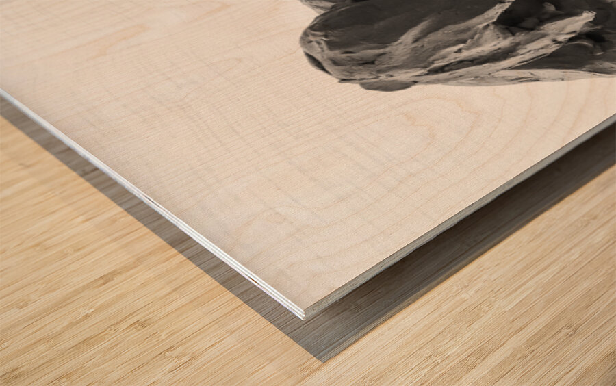 PSX 20250620 164025 Wood print