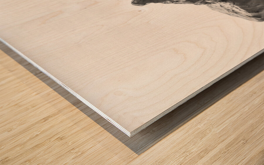 PSX 20250626 180804 Wood print