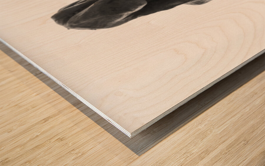 PSX 20250330 141753 Wood print