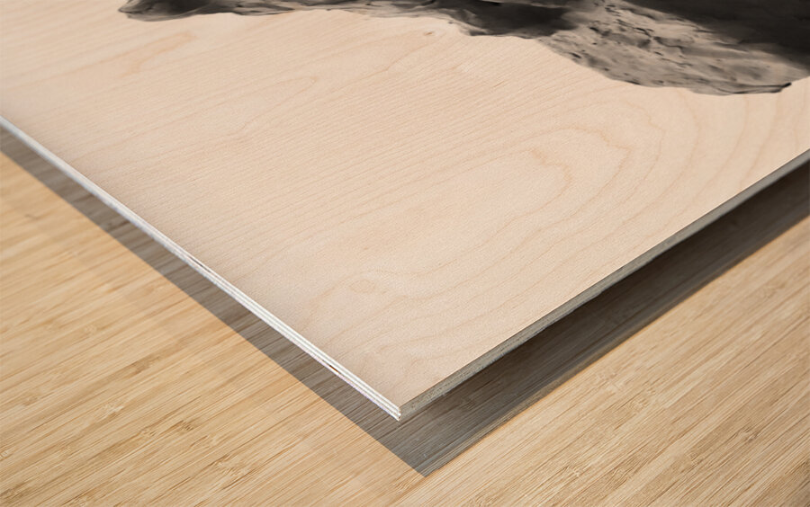 PSX 20250626 171950 Wood print