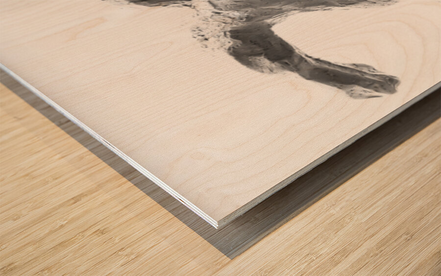 PSX 20250622 091714 Wood print