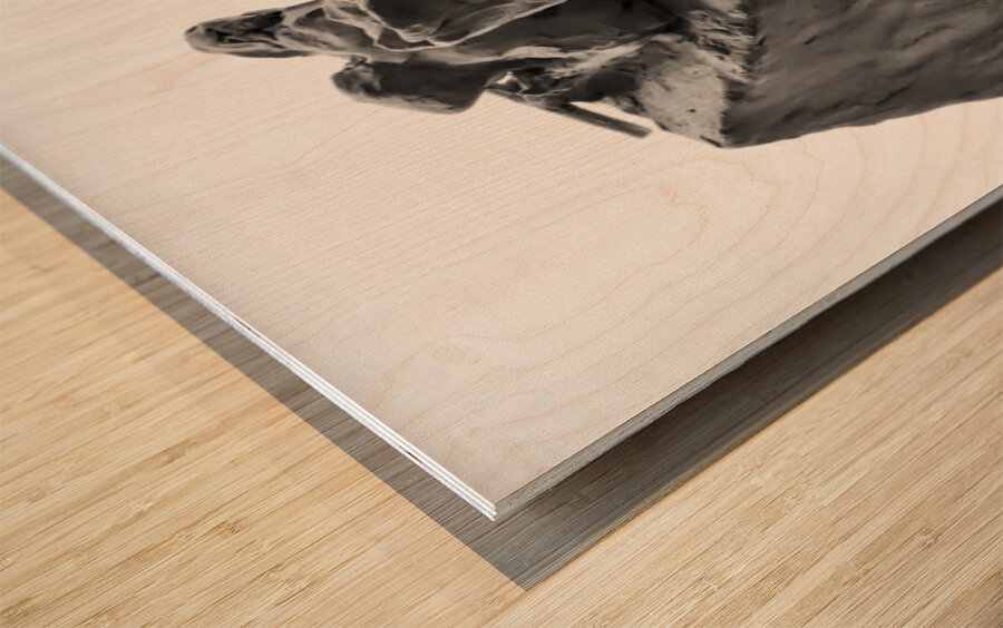 PSX 20250706 204433 Wood print