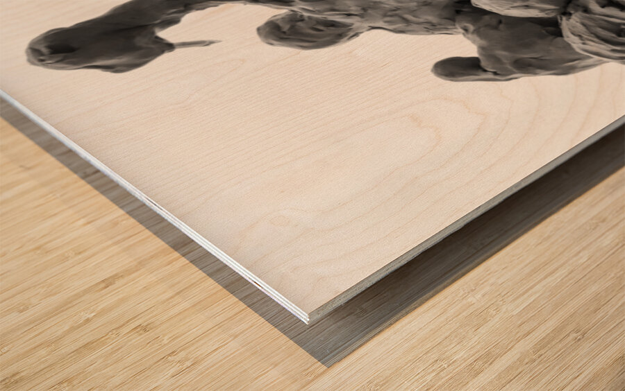 PSX 20250710 184554 Wood print