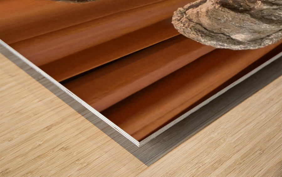 20220228 201343 Wood print