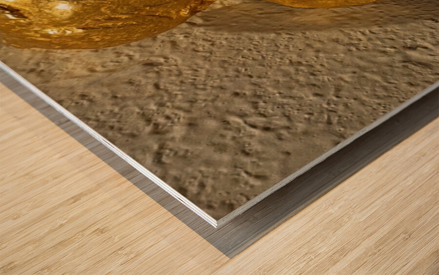 20240203 221850 Wood print