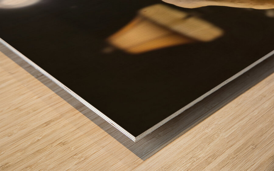 20231005 024107 Wood print