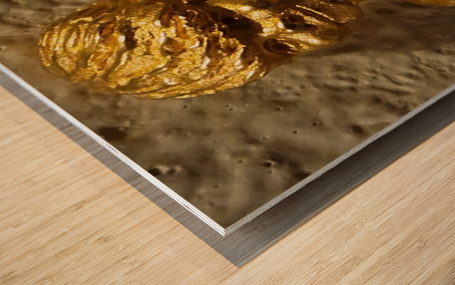 20240203 221532 Wood print