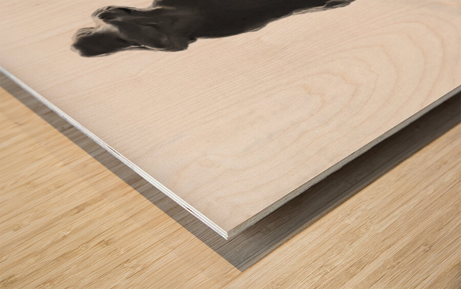 PSX 20250626 002506 Wood print