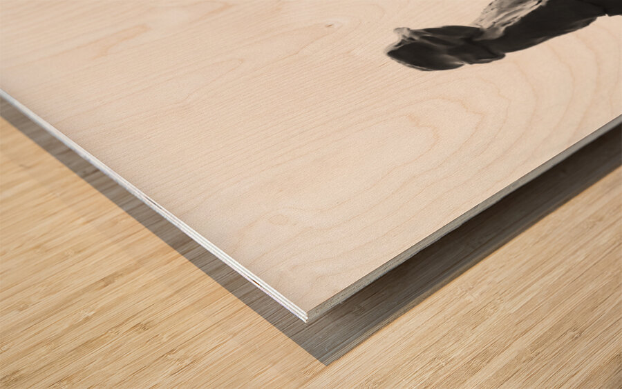 PSX 20250626 001640 Wood print