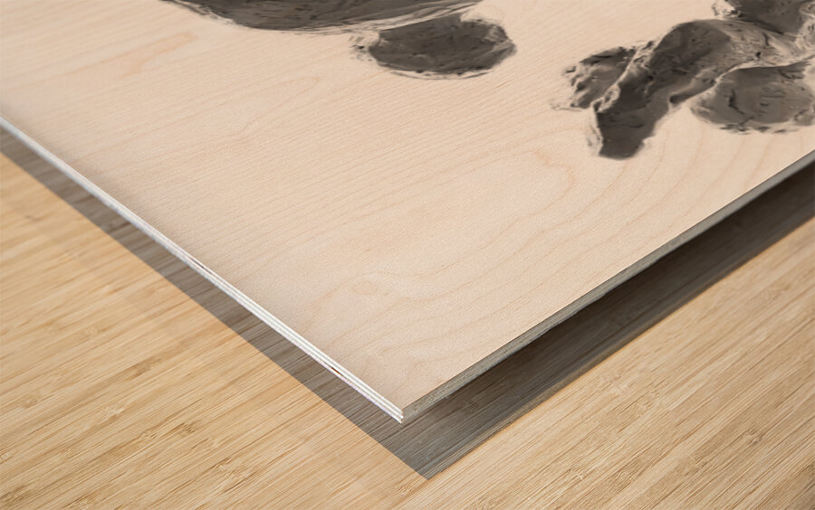 PSX 20250622 090031 Wood print