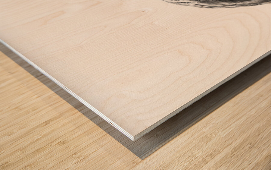 PSX 20241207 104114 Wood print