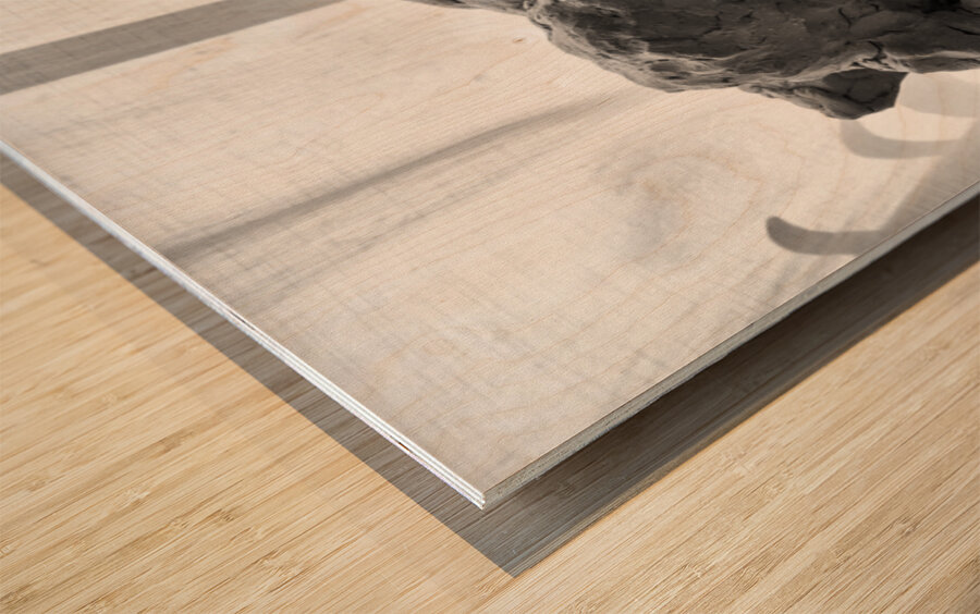 PSX 20250621 083116 Wood print