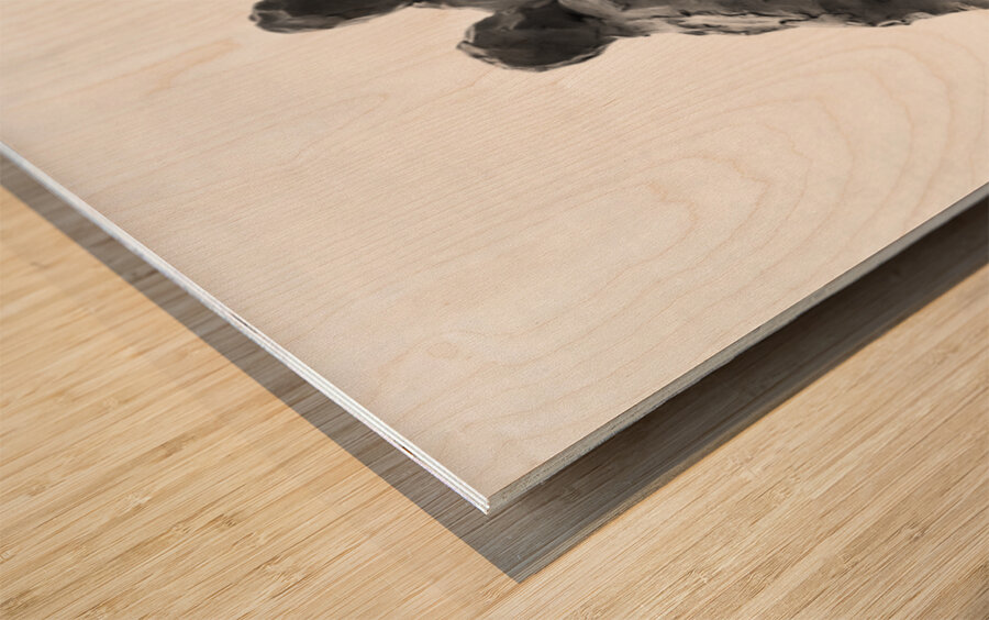 PSX 20250626 174911 Wood print