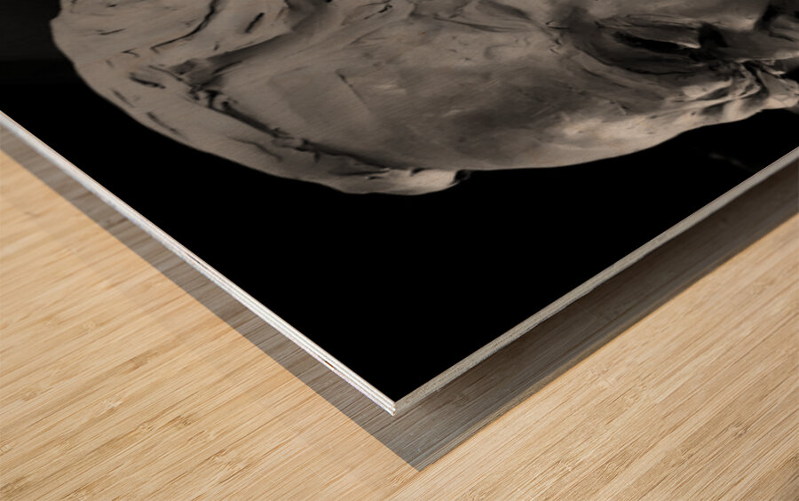 20220429 011205 EDIT Wood print