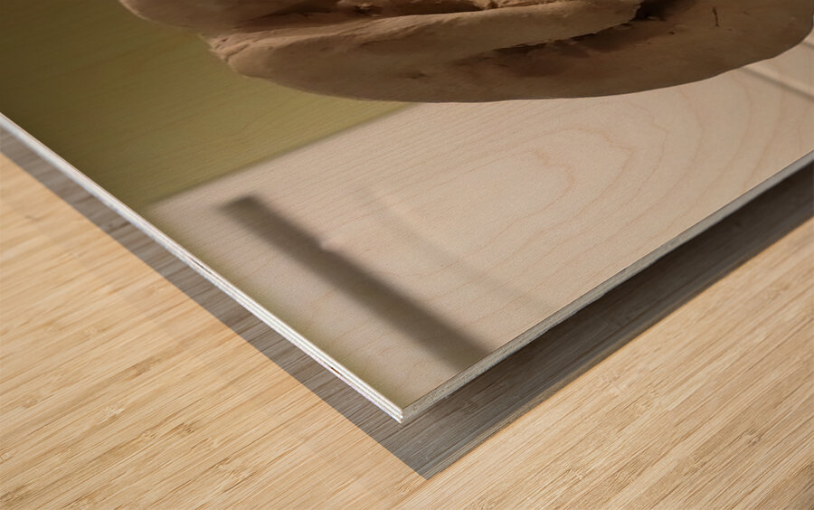 20231015 053139 Wood print