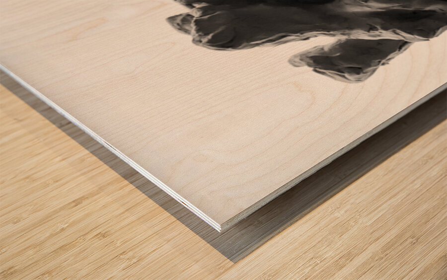 PSX 20250706 204150 Impression sur bois