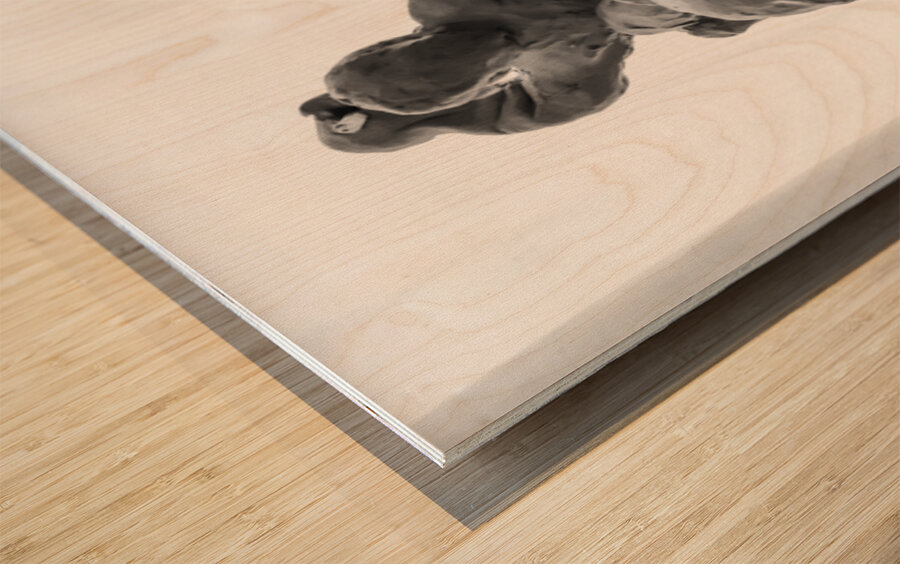 PSX 20250710 184043 Wood print