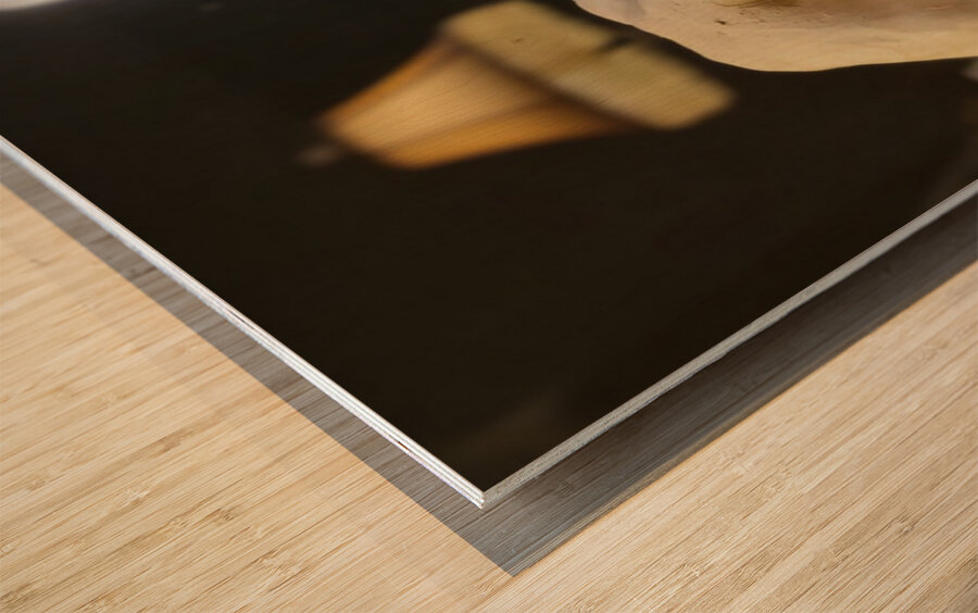 20231005 024115 Wood print