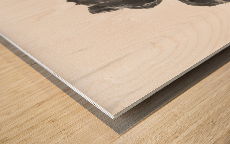 PSX 20250720 234936 Wood print