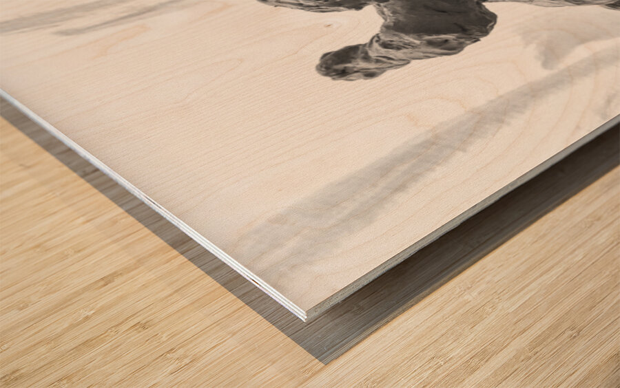 PSX 20250720 234710 Wood print