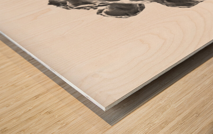 PSX 20250720 230654 Wood print