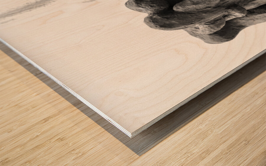 PSX 20250729 154950 Wood print