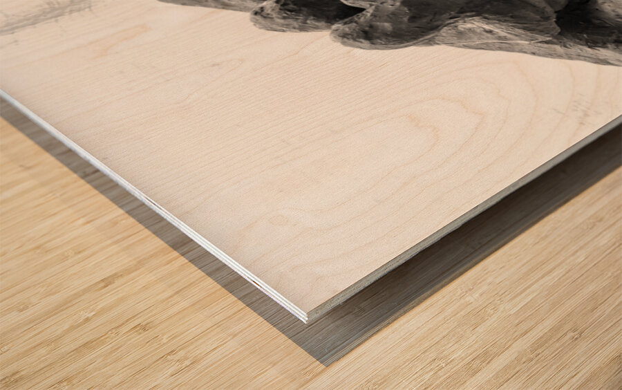 PSX 20250729 154826 Wood print