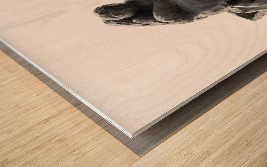 PSX 20250729 154506 Wood print