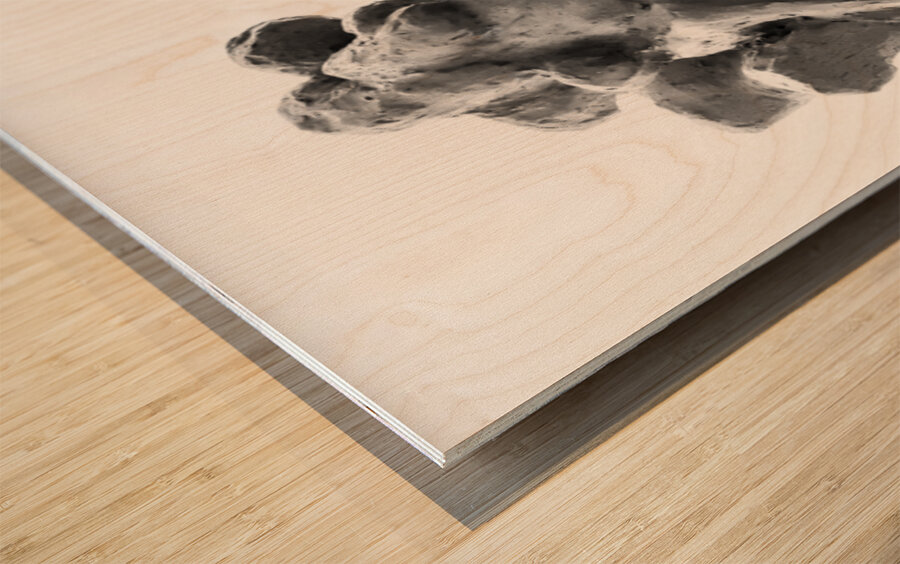 PSX 20250729 154117 Wood print