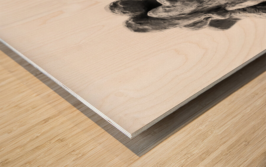 PSX 20250729 160021 Wood print