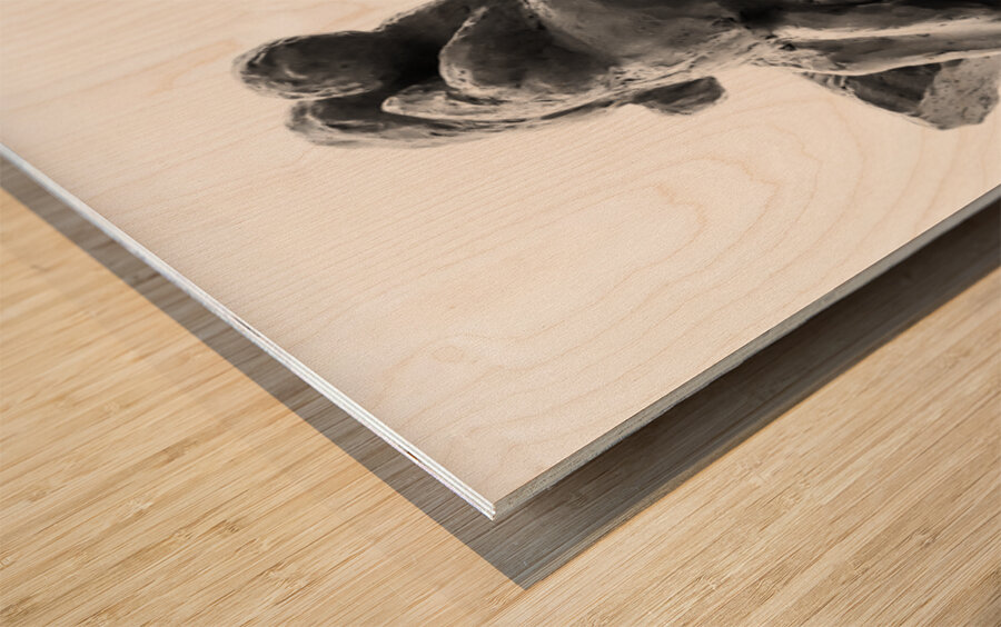 PSX 20250729 154346 Wood print