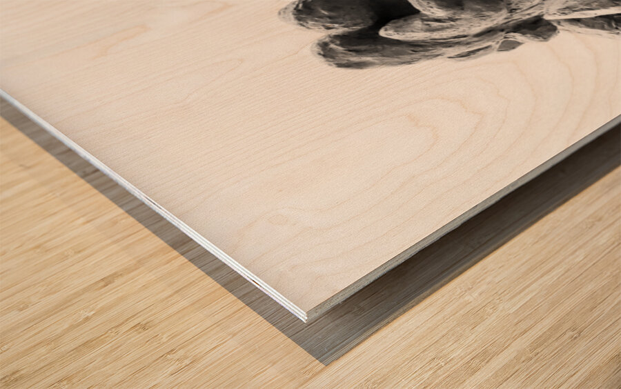 PSX 20250729 160222 Wood print